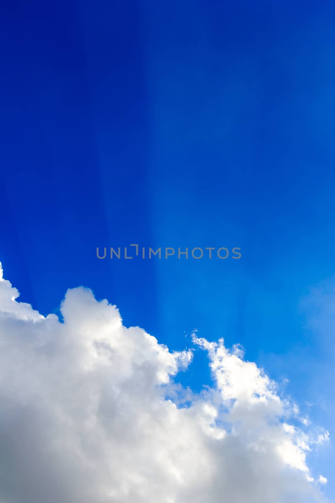 clear sky and cloud in the sunny day.