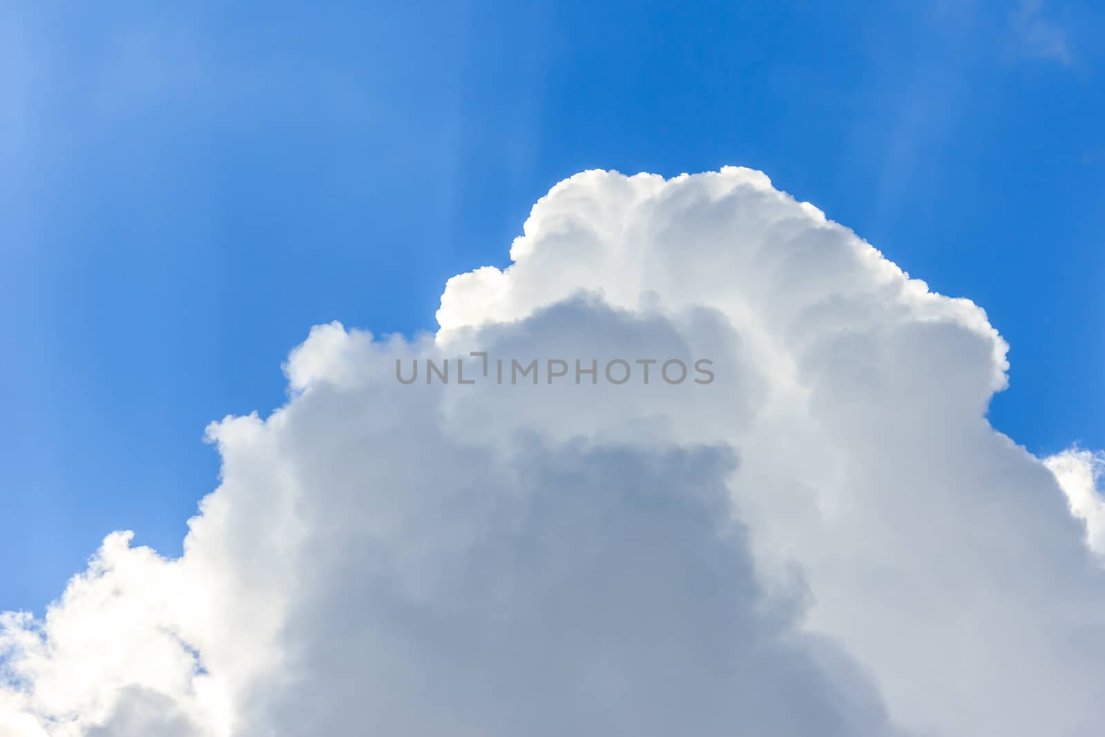 Clear sky and cloud in the sunny day.