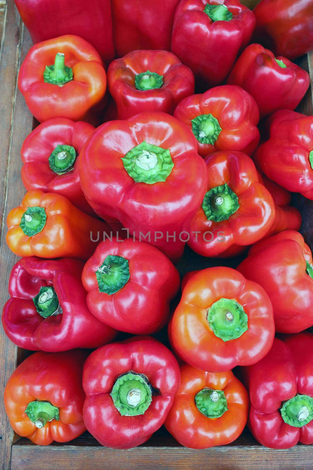 Fresh Red Bell Pepper Close-up at Farmer Market