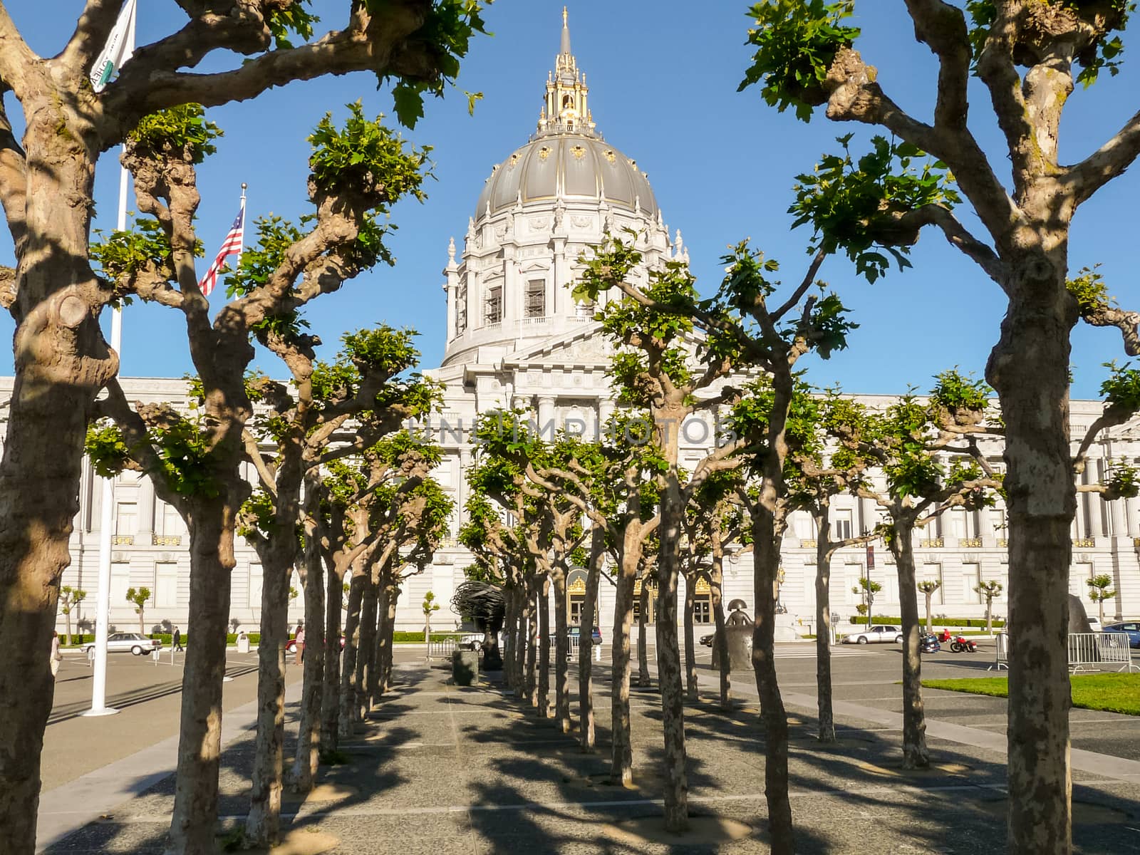 San Francisco City Hall Civic Center, in front rows of the trees.