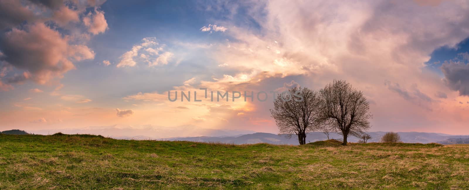 Sunny spring evening. April mountain sunset in Carpathians