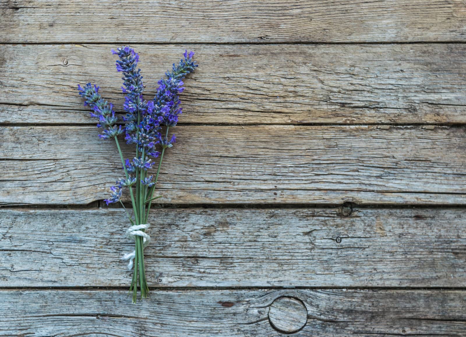 Lavender on wooden background  by radzonimo