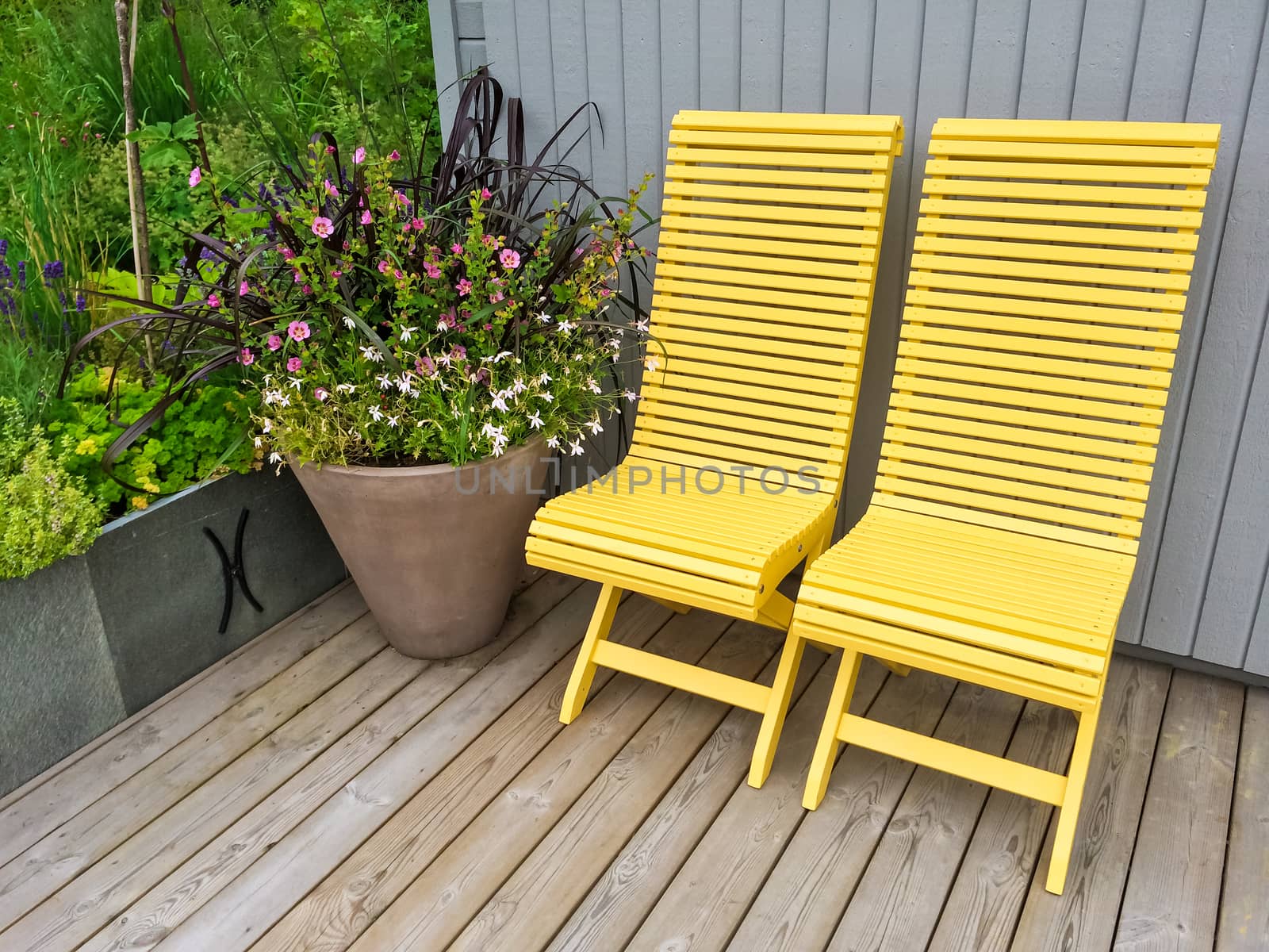 Yellow chairs and big pot with flowers decorating house exterior.