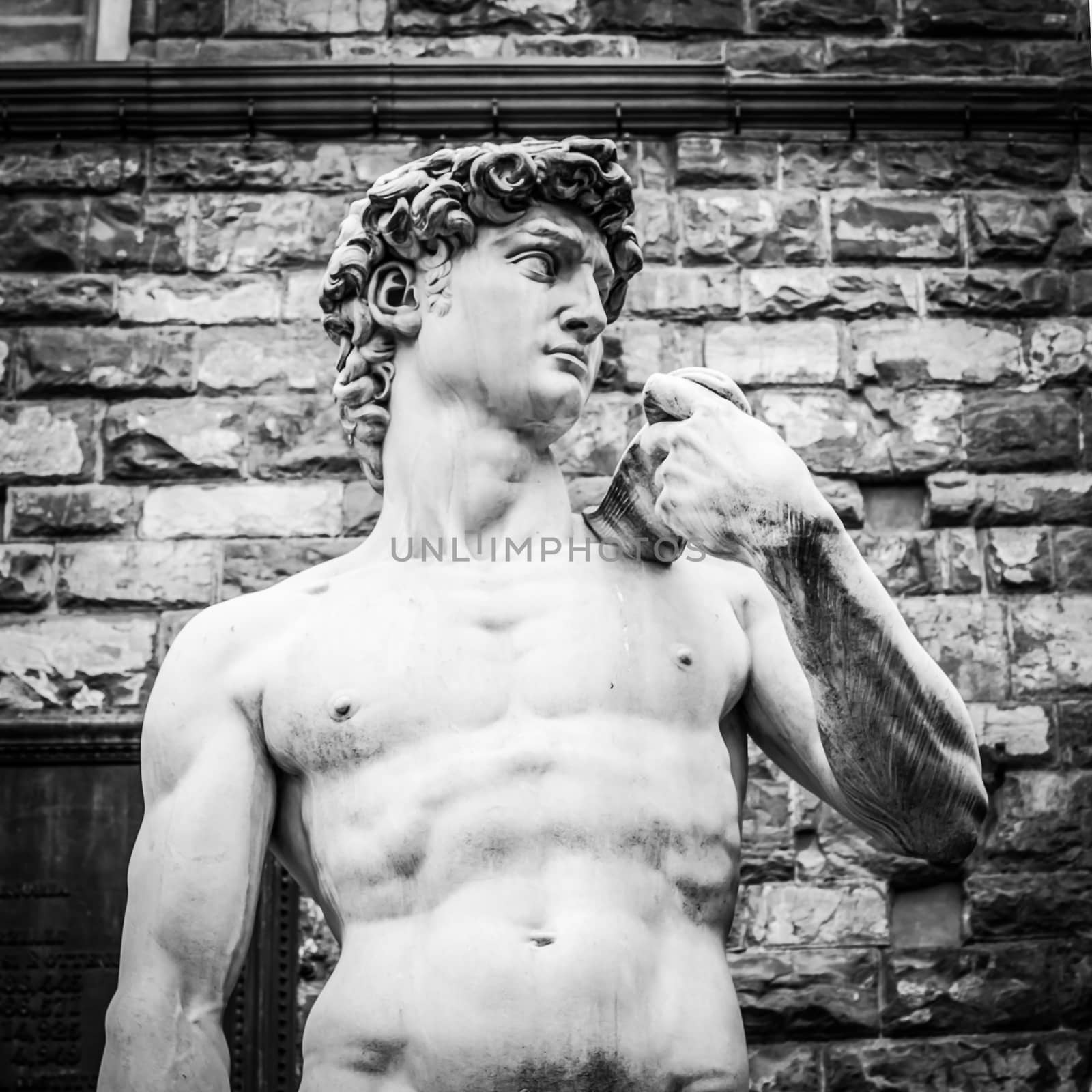 Florence, Italy. Michelangelo's David in front of Palazzo Vecchio.