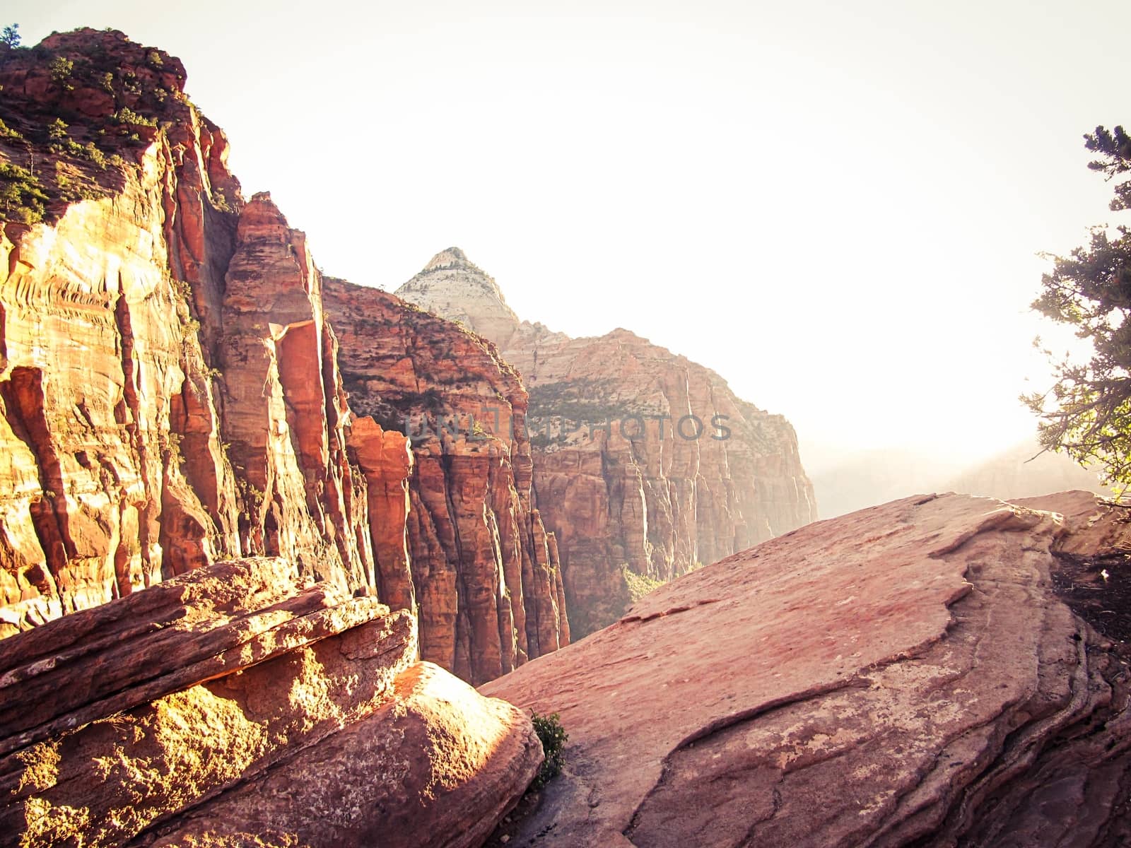 sunny day from the top of mountain at Zion national park, USA by Timmi