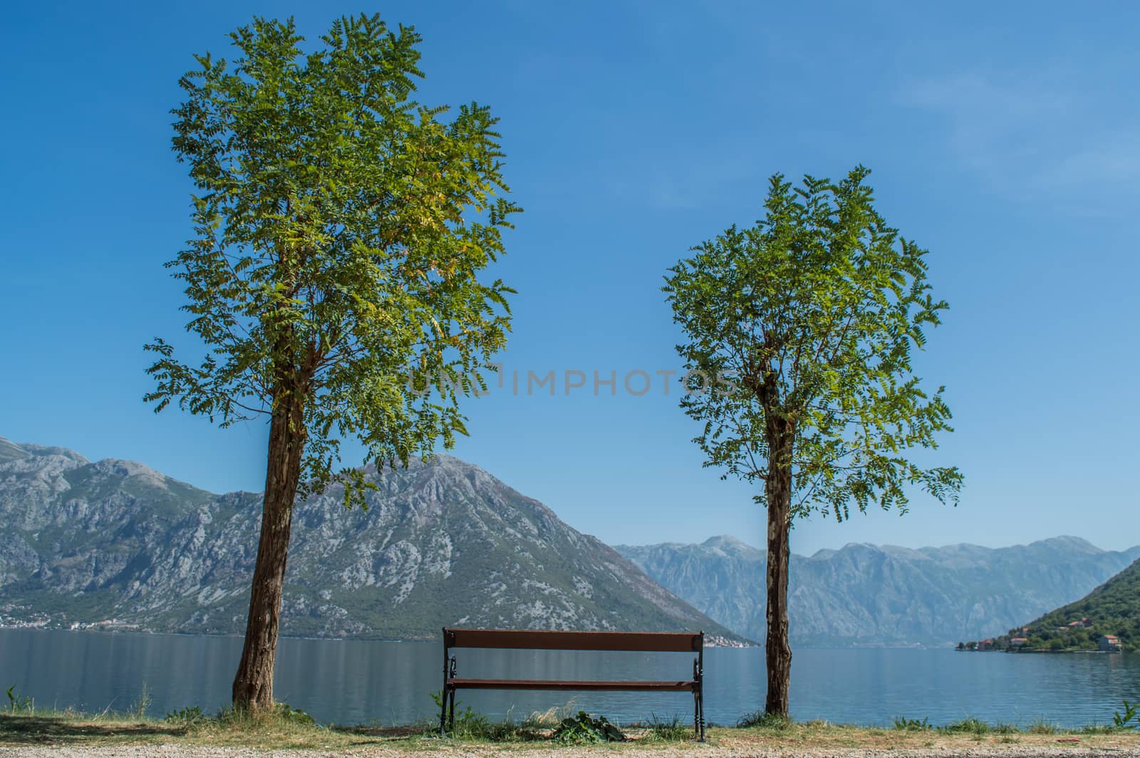 Abandoned bench near the sea  by radzonimo