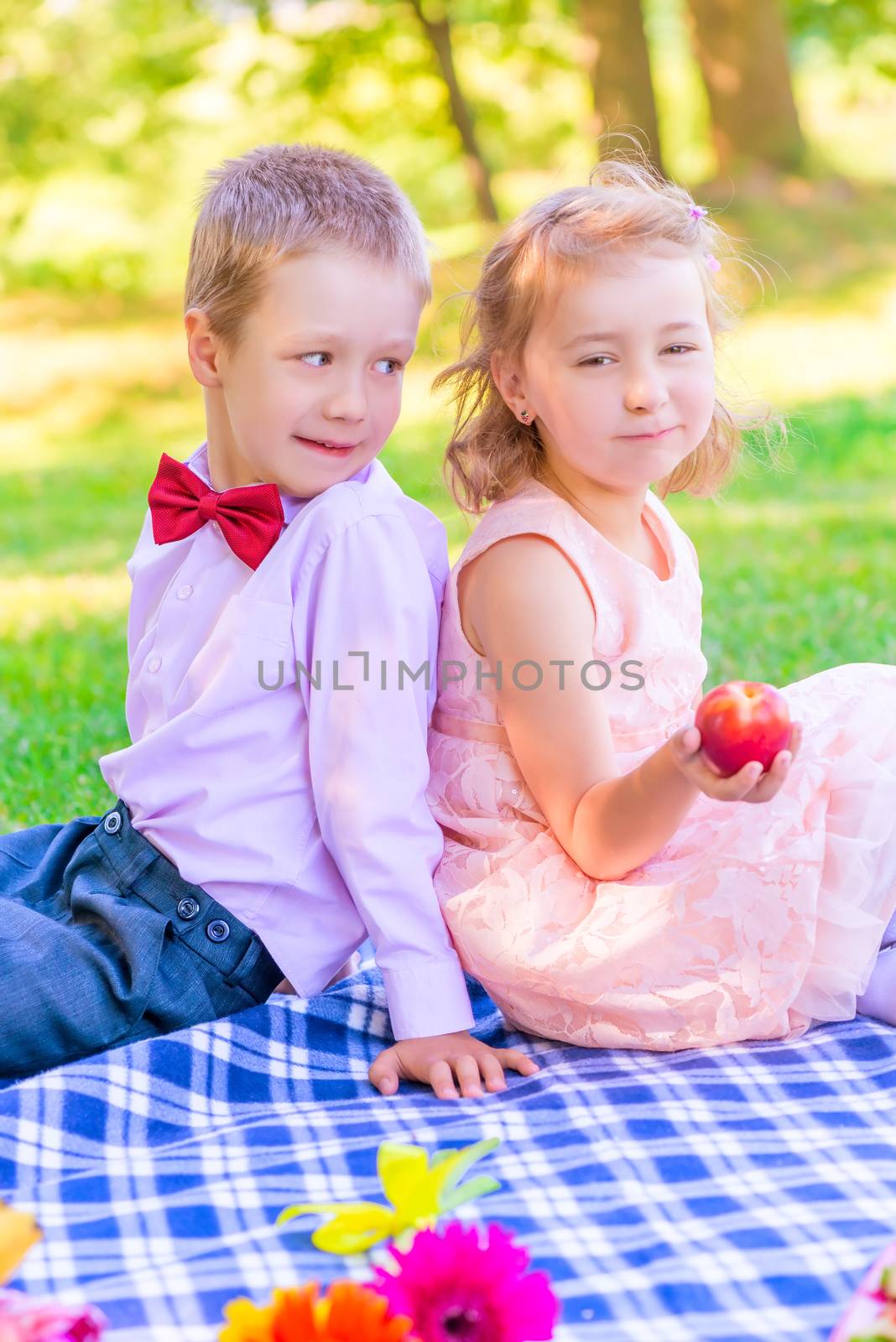 Vertical portrait of a six-year old couple at a picnic in the park