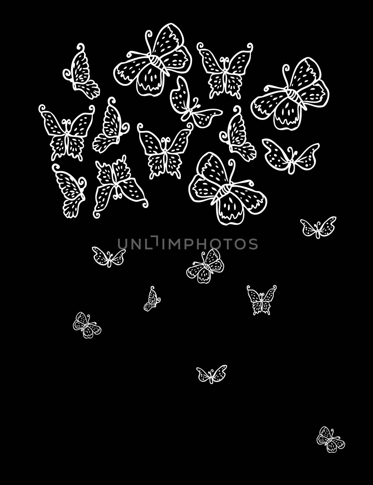 White butterfly isolated on black background by IconsJewelry