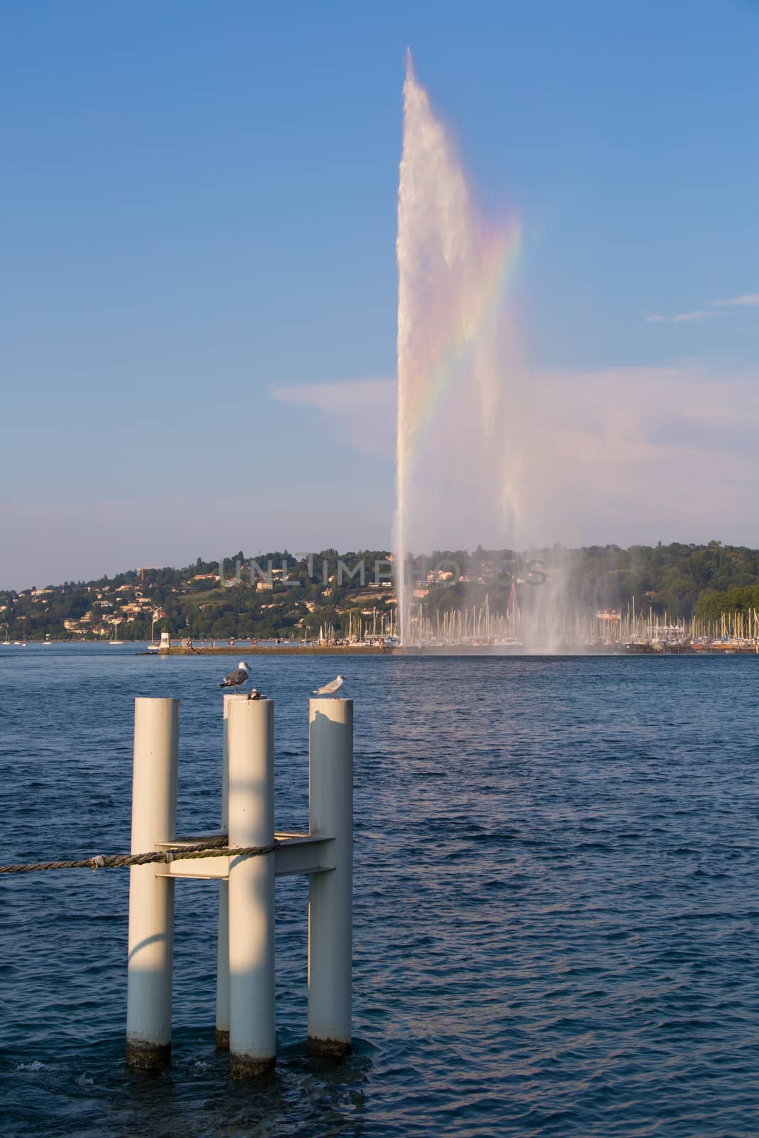 The world famous Geneva Fountain, at certain hours a small section of rainbow is visible in the fountain