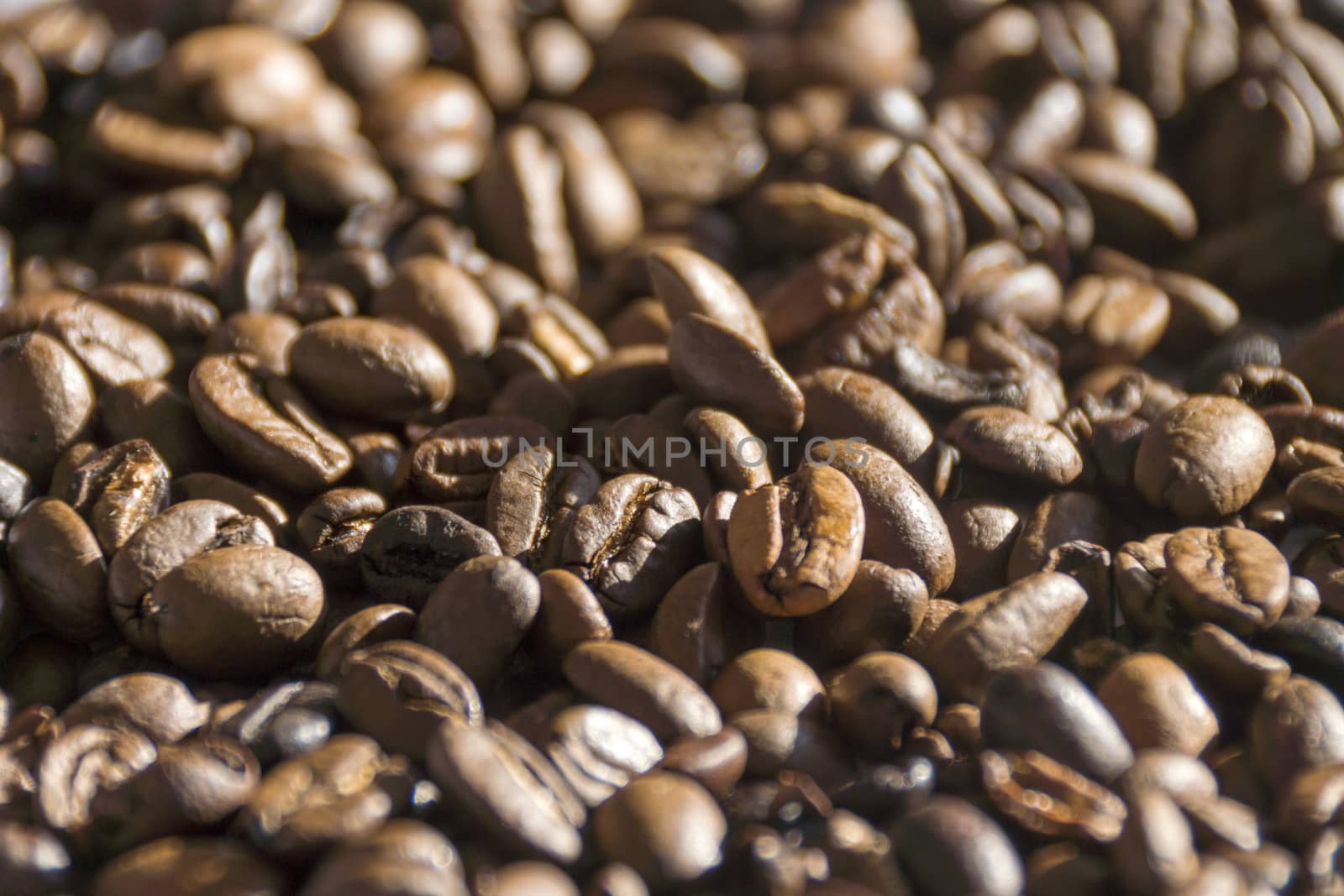 Fresh roasted coffee beans