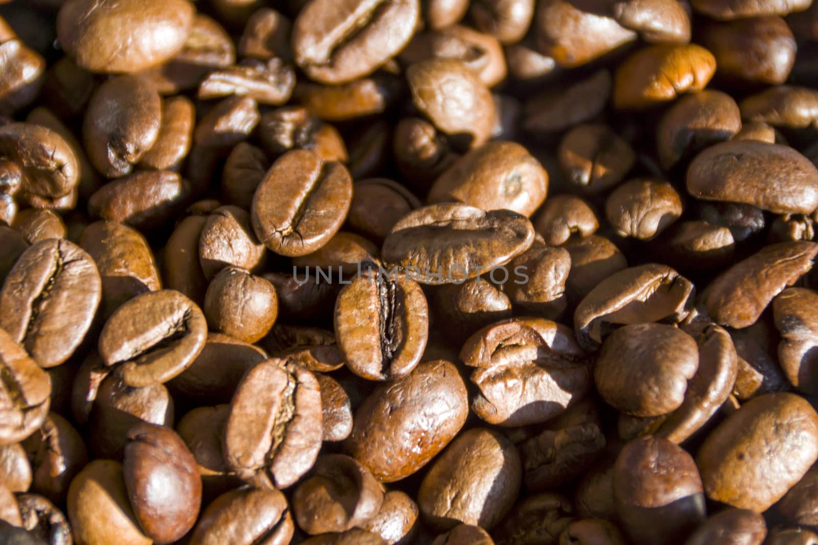 Coffee Beans by Fr@nk