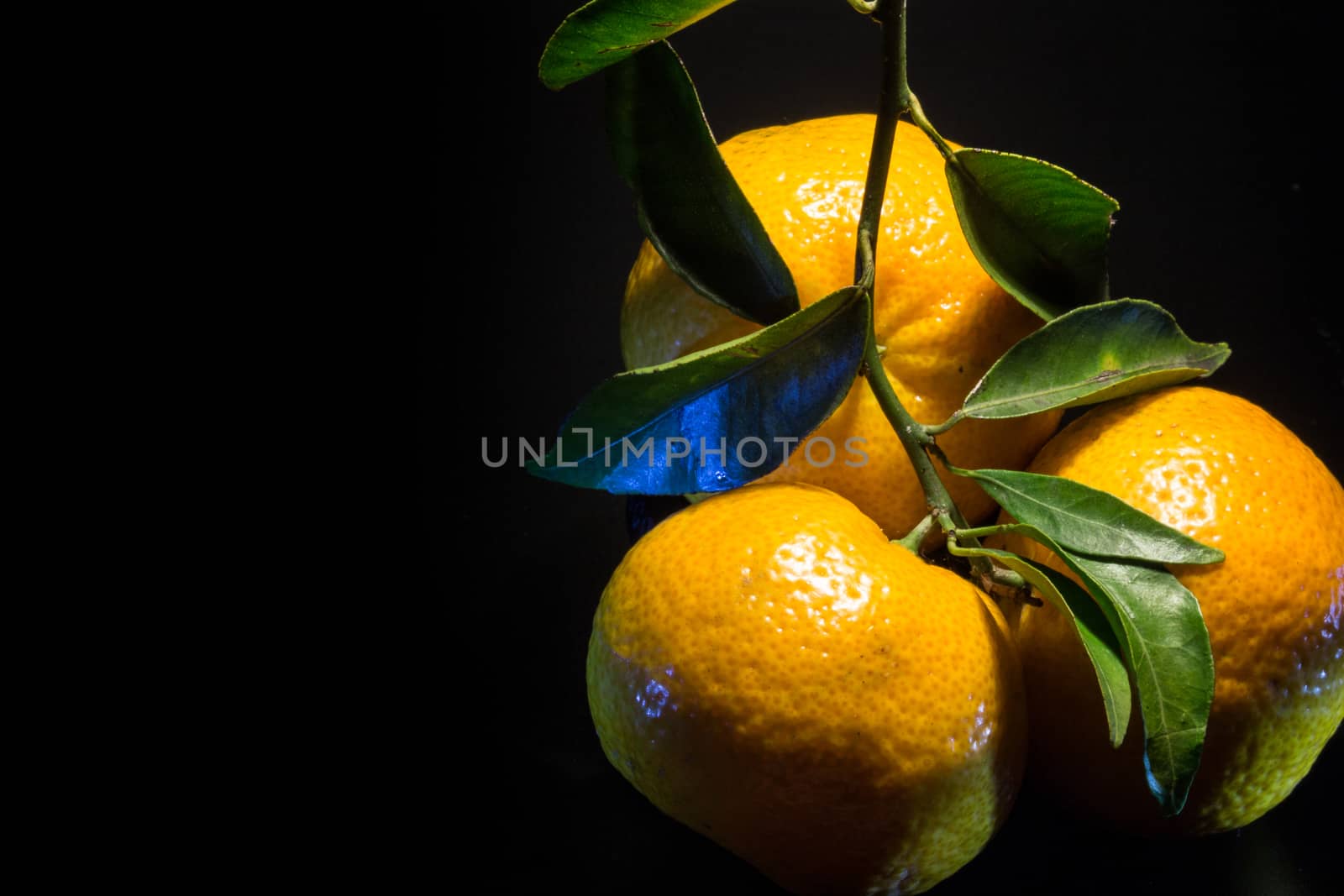 three tangerines on black background