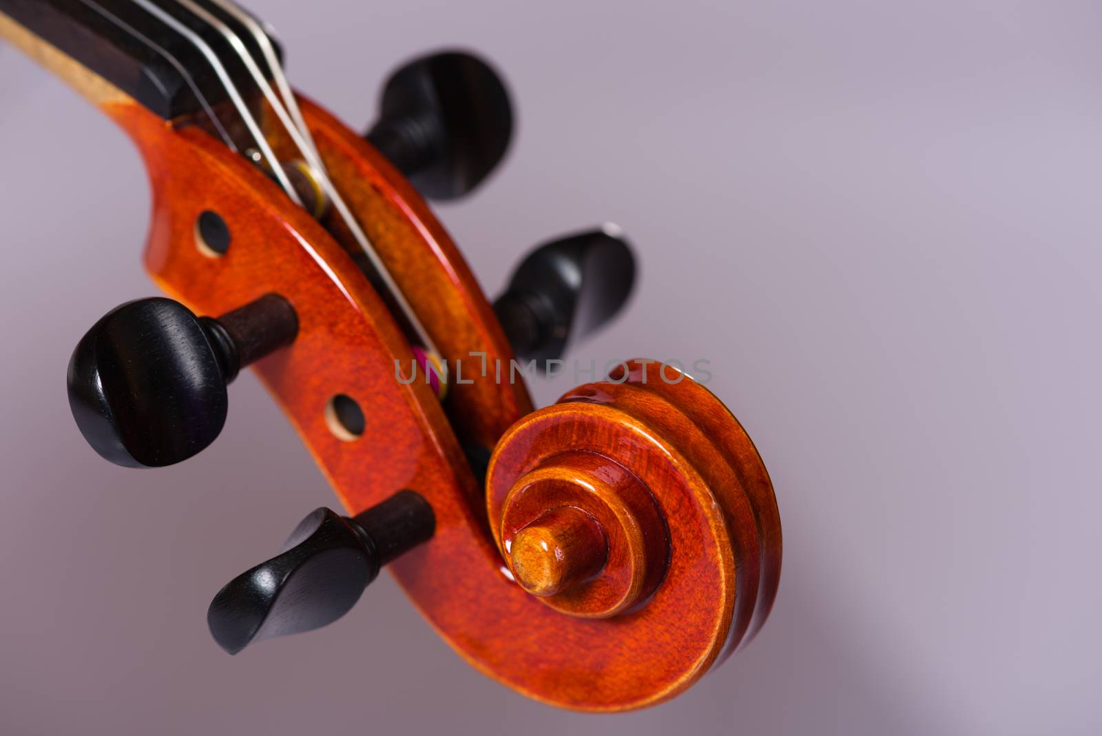 Close Up Violin by justtscott