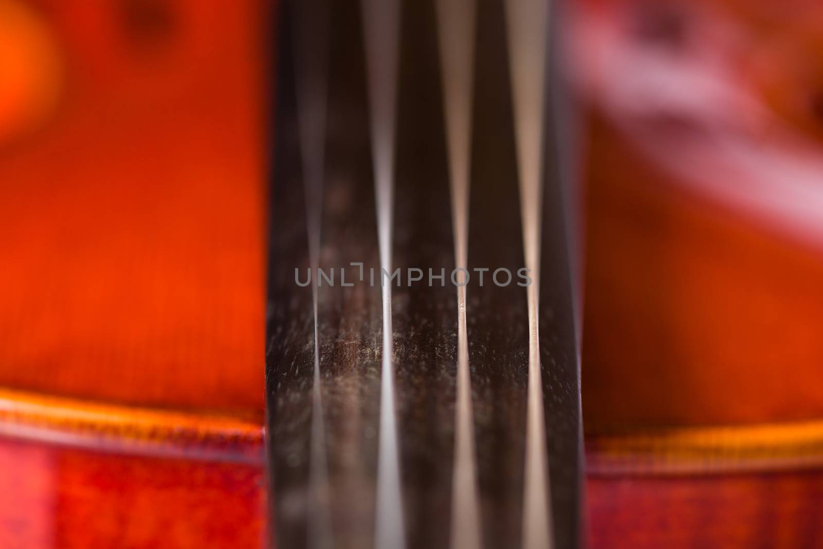 Close Up Violin by justtscott