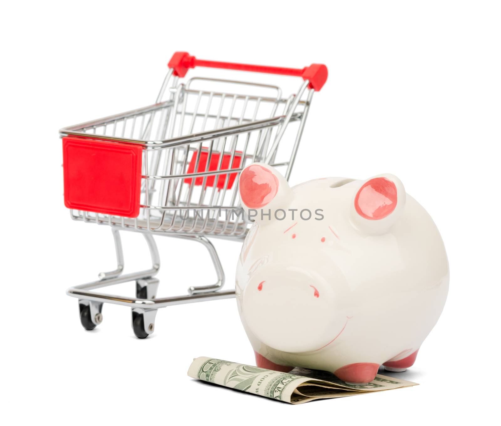 Shopping cart and Piggy bank, business concept by cherezoff