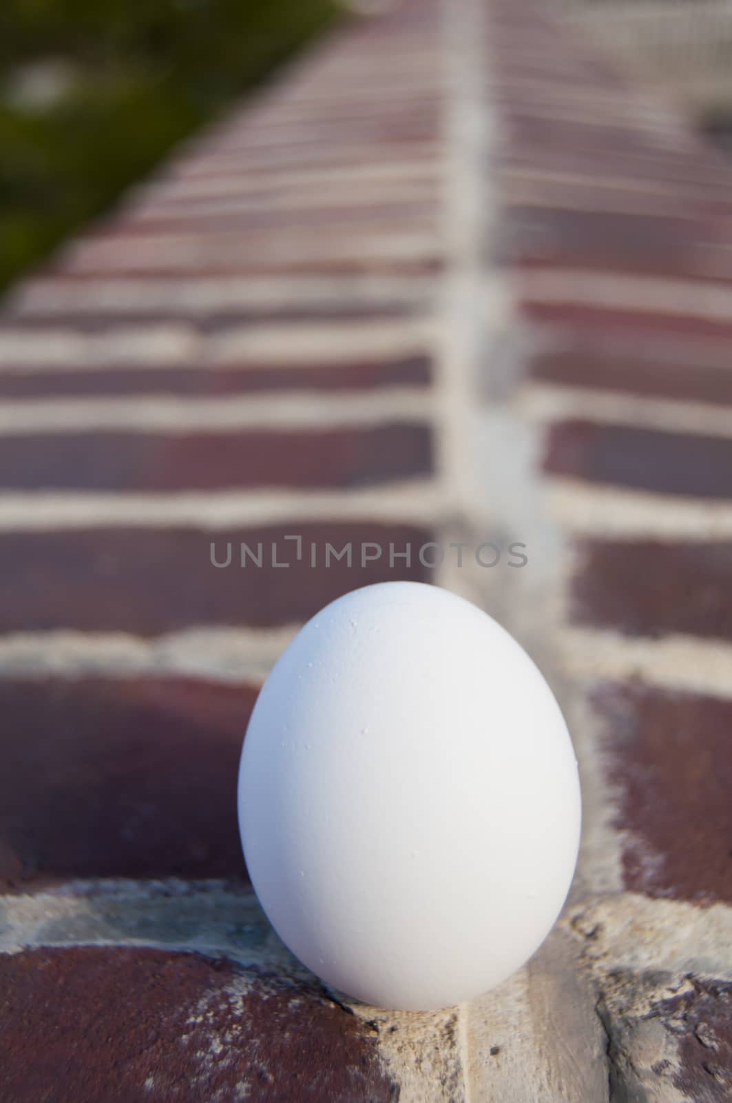 A large egg sitting upon a red brick wall