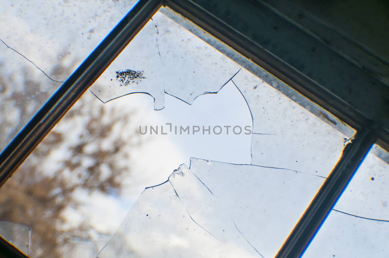 A small window in a shed that is cracked open letting nature in