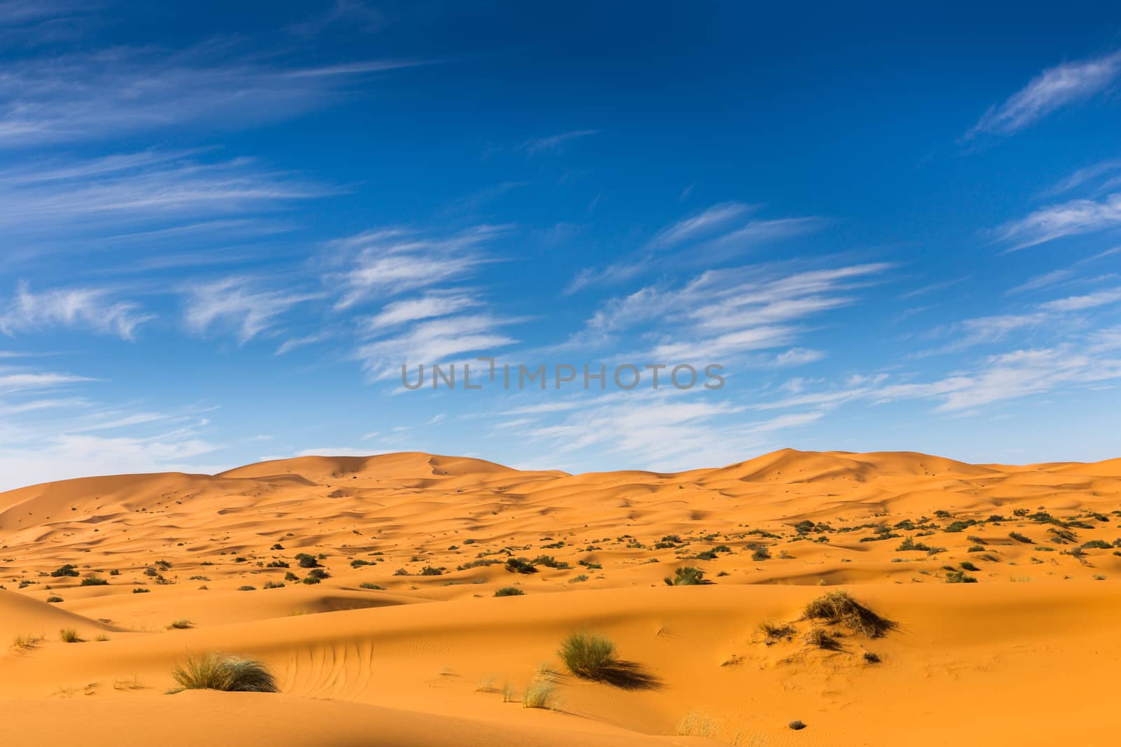  Sahara desert, Morocco by Mieszko9