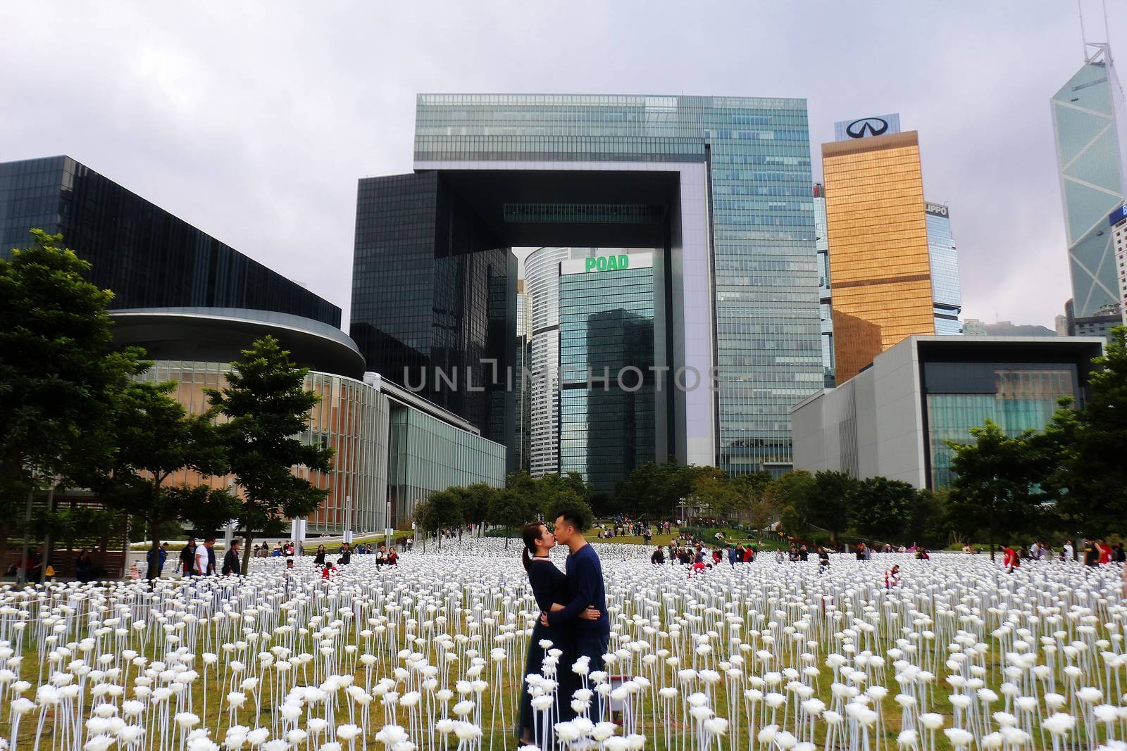 HONG KONG: People kiss in the middle of white LED roses on display in Hong Kong on February 13, 2016 for Valentine's Day.