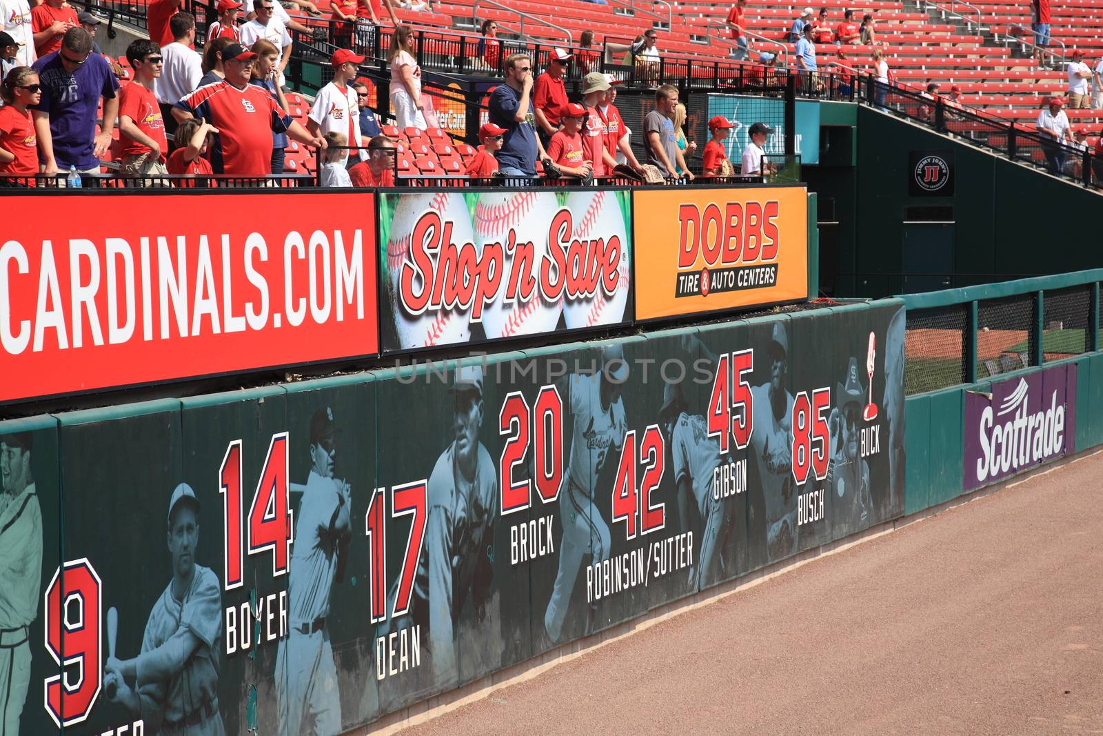 Fans watch for a batting practice home run ball at a late season Cardinals game at Busch Stadium.