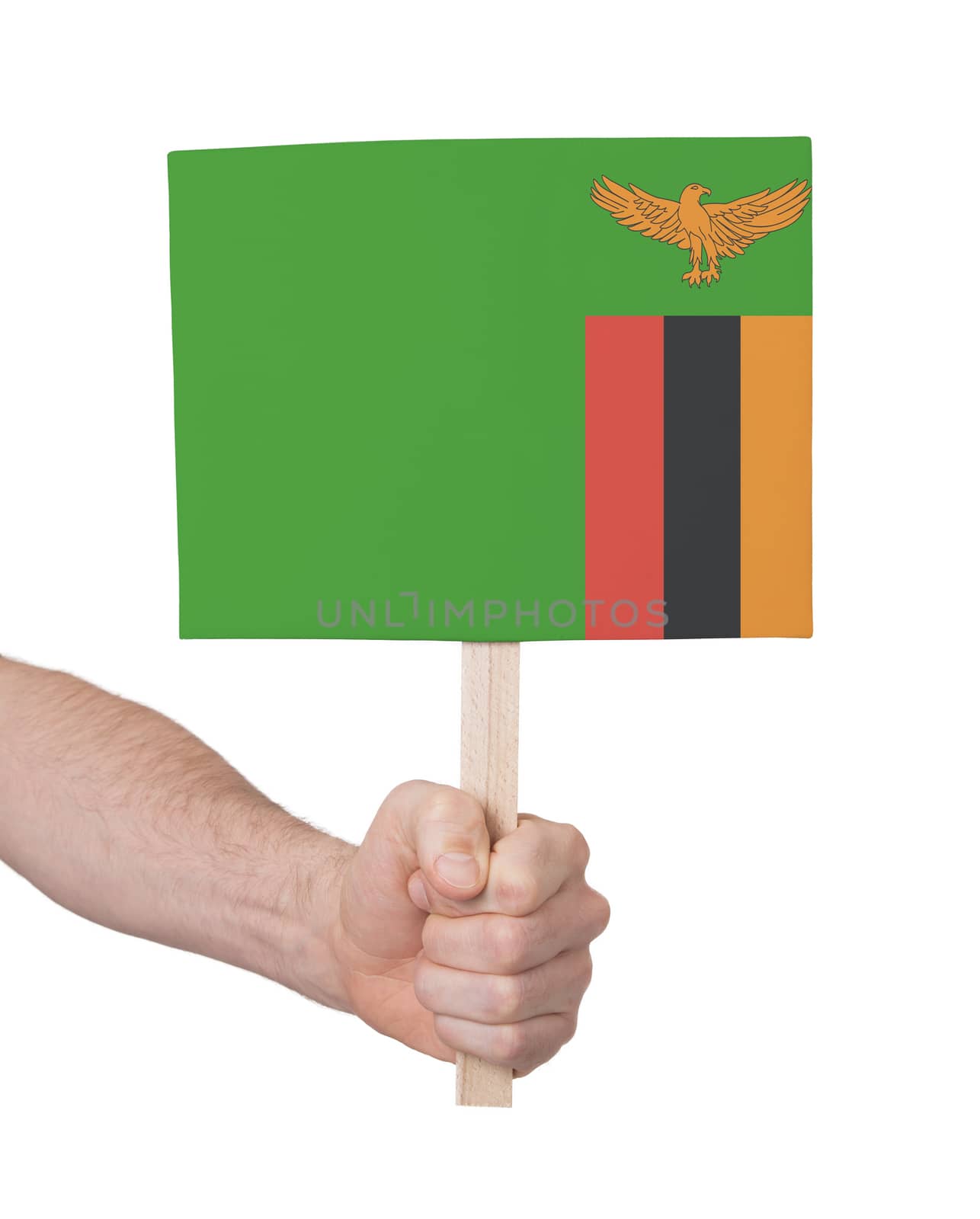 Hand holding small card - Flag of Zambia by michaklootwijk