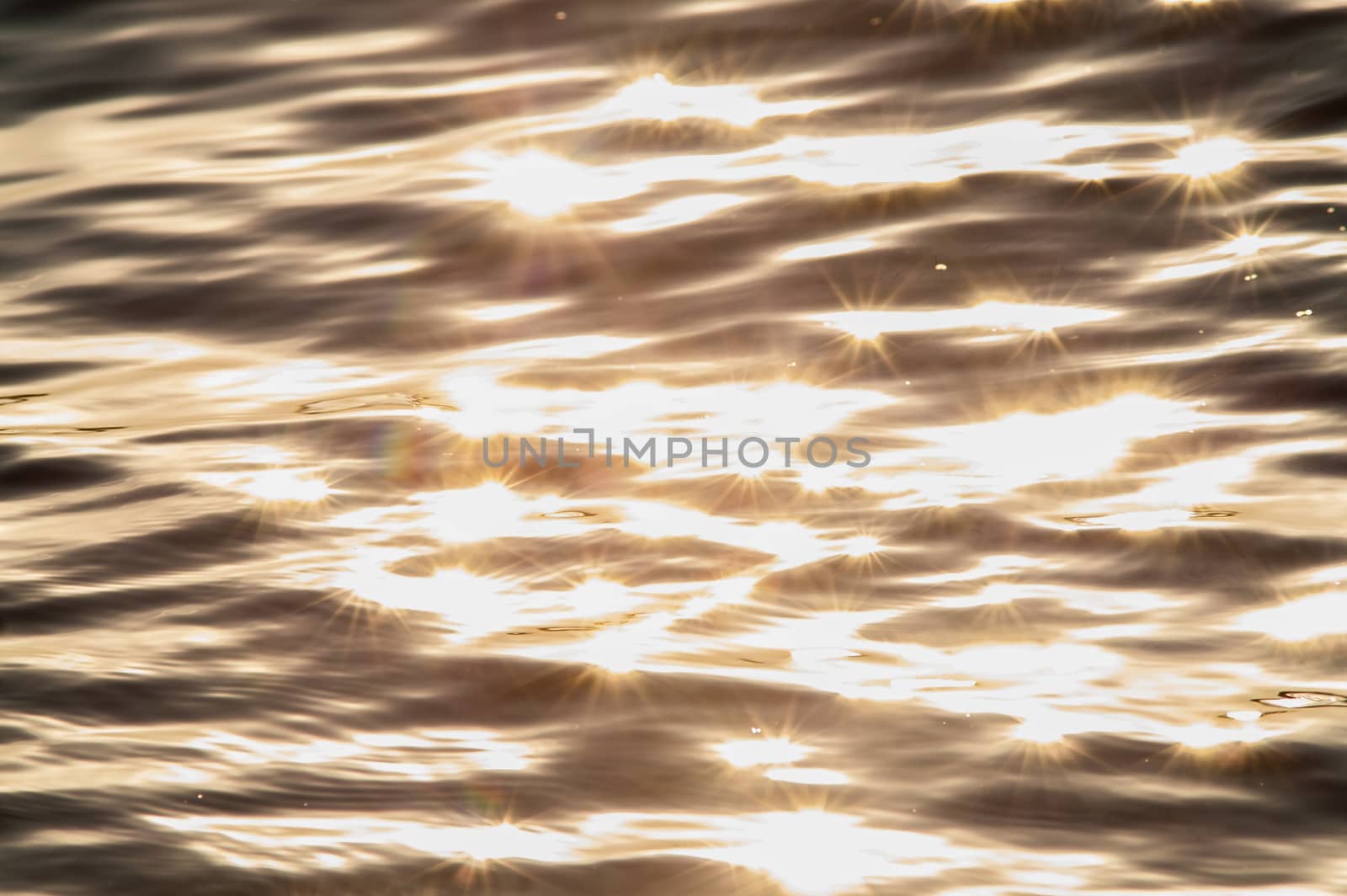 The water surface in the autumn on the river