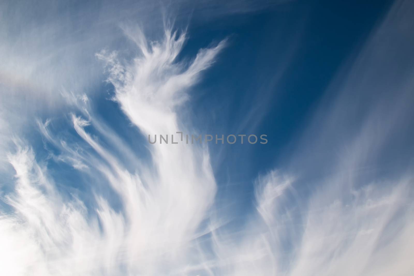 Intense contrast of the white clouds in a shape of flame, on a blue sky.