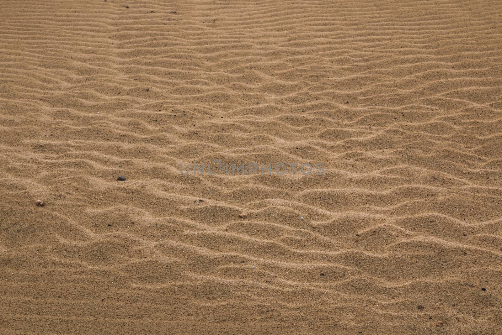 Pattern in a sand by YassminPhoto