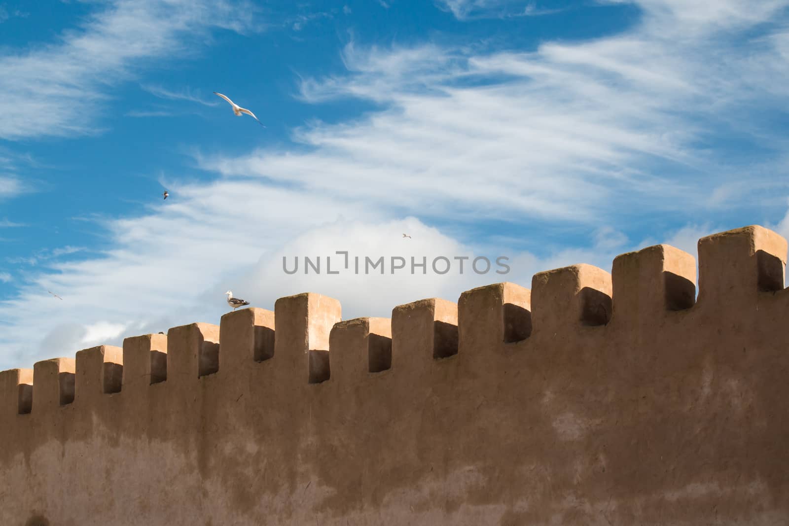 City fortification detail in Essaouira, Morocco by YassminPhoto