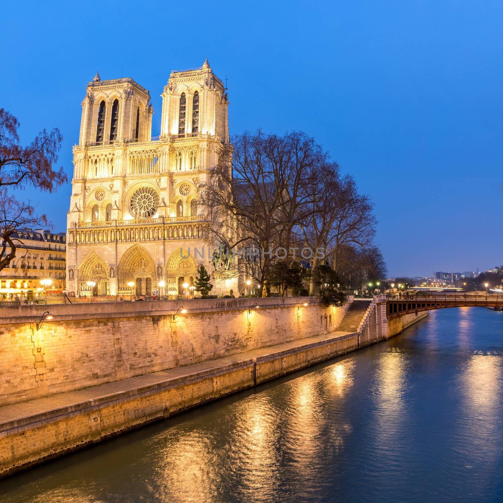Paris Notre Dame at dusk by vichie81