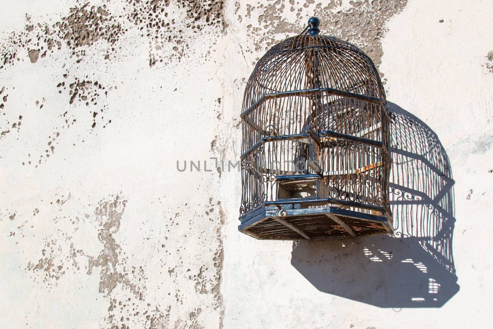 Empty stylish bird cage hanging on the old wall.