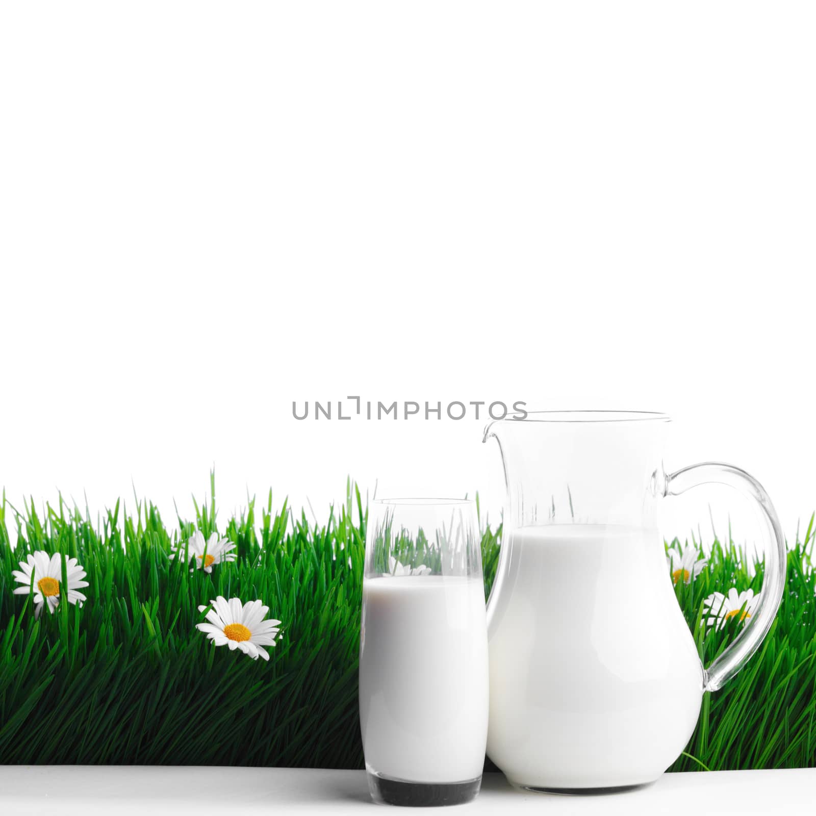 Milk jug and glass on fresh green grass with chamomiles isolated on white