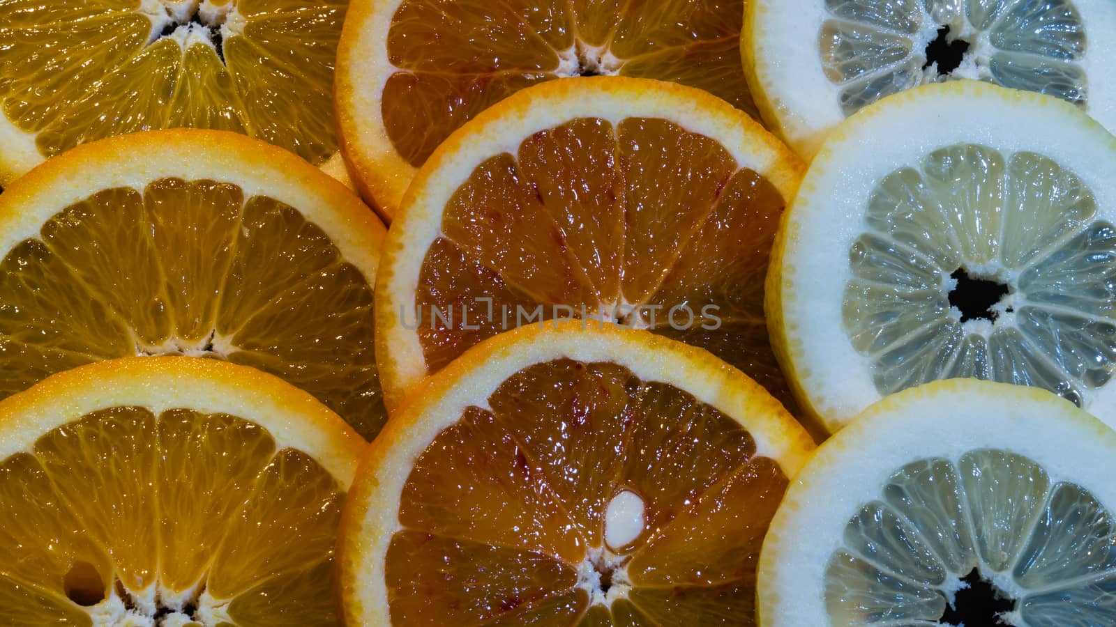 A variety of colorful fruit circles of oranges, limes, lemons and grapefruit for a background. Use it for a health or diet concept.