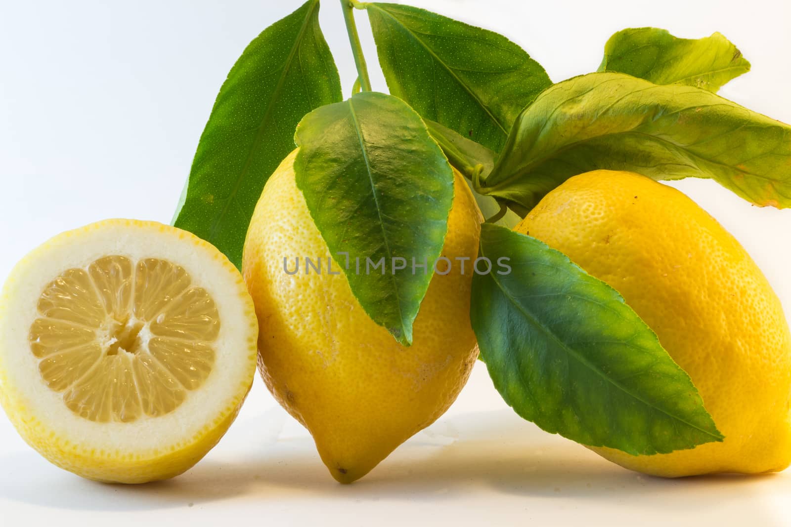 Fresh lemon by alanstix64