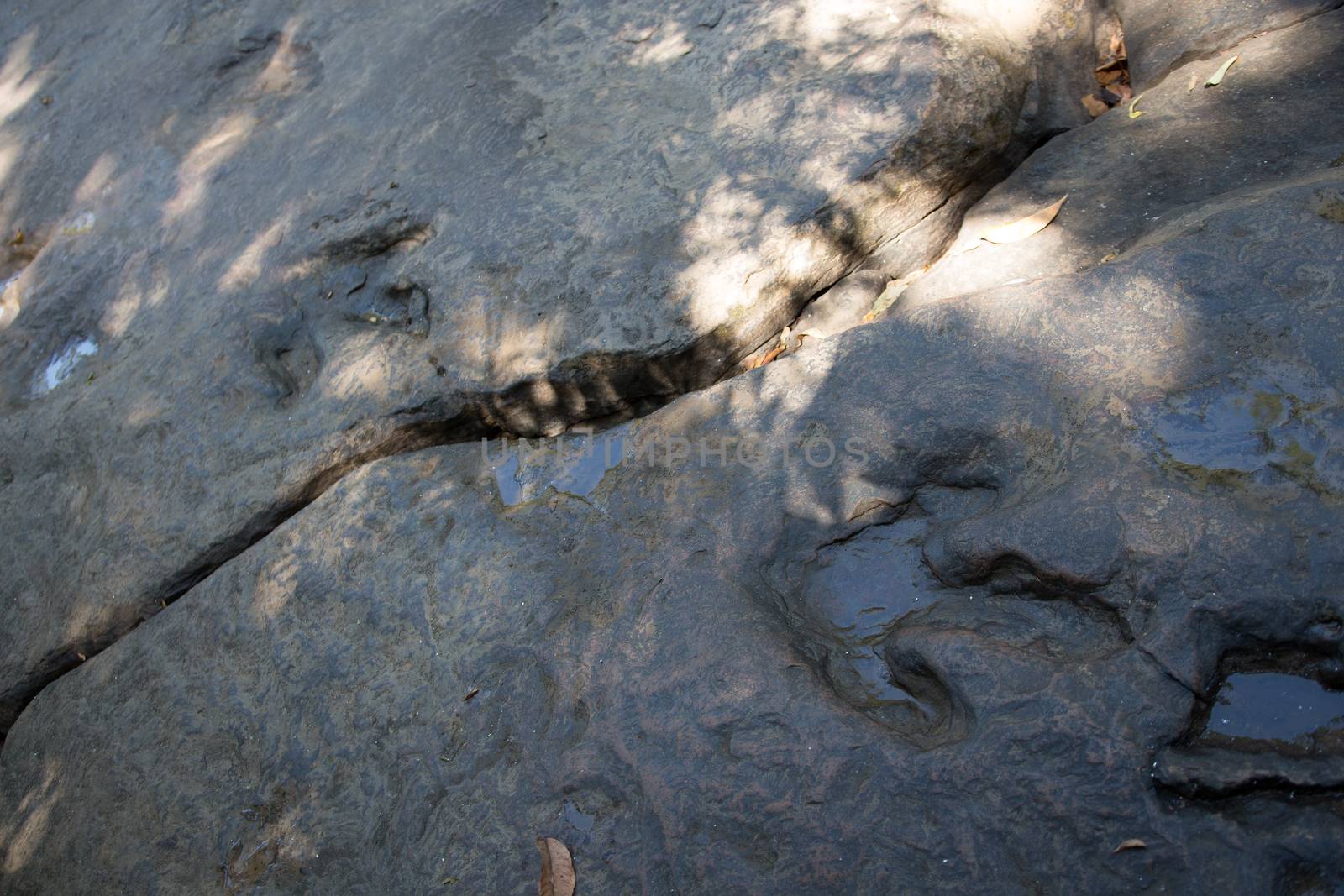 Real Detail of dinosaur tracks in Thailand by frank600