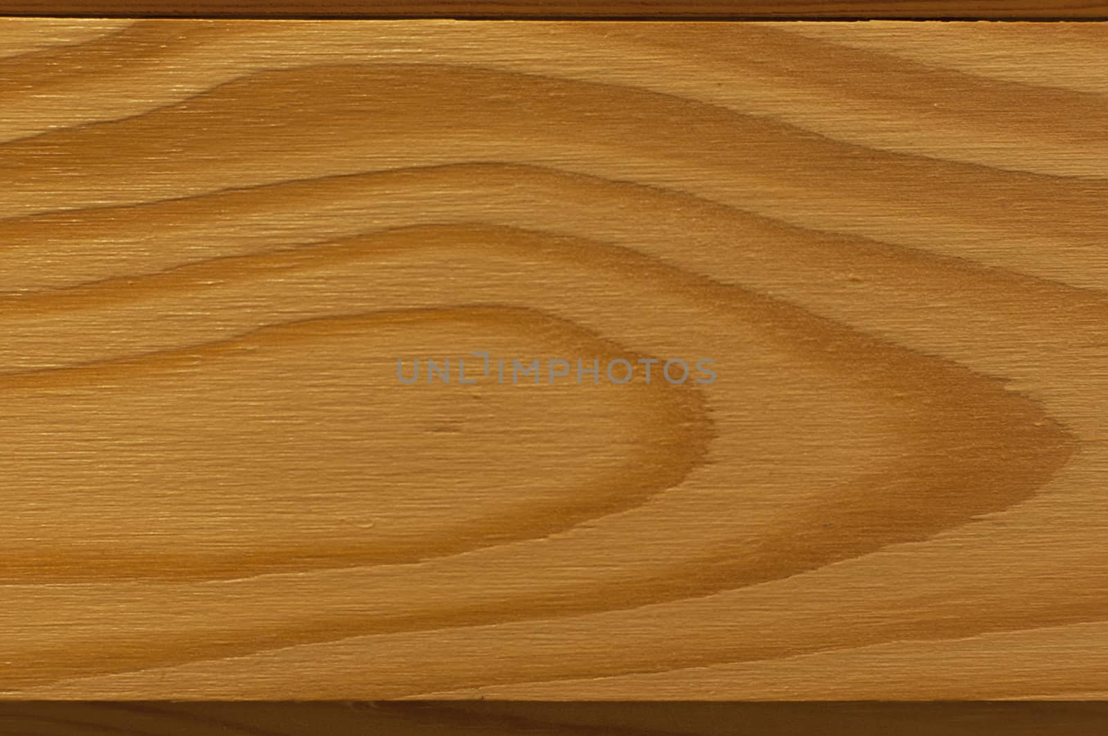 Wood texture. Wood panel. Background. Tree lines.