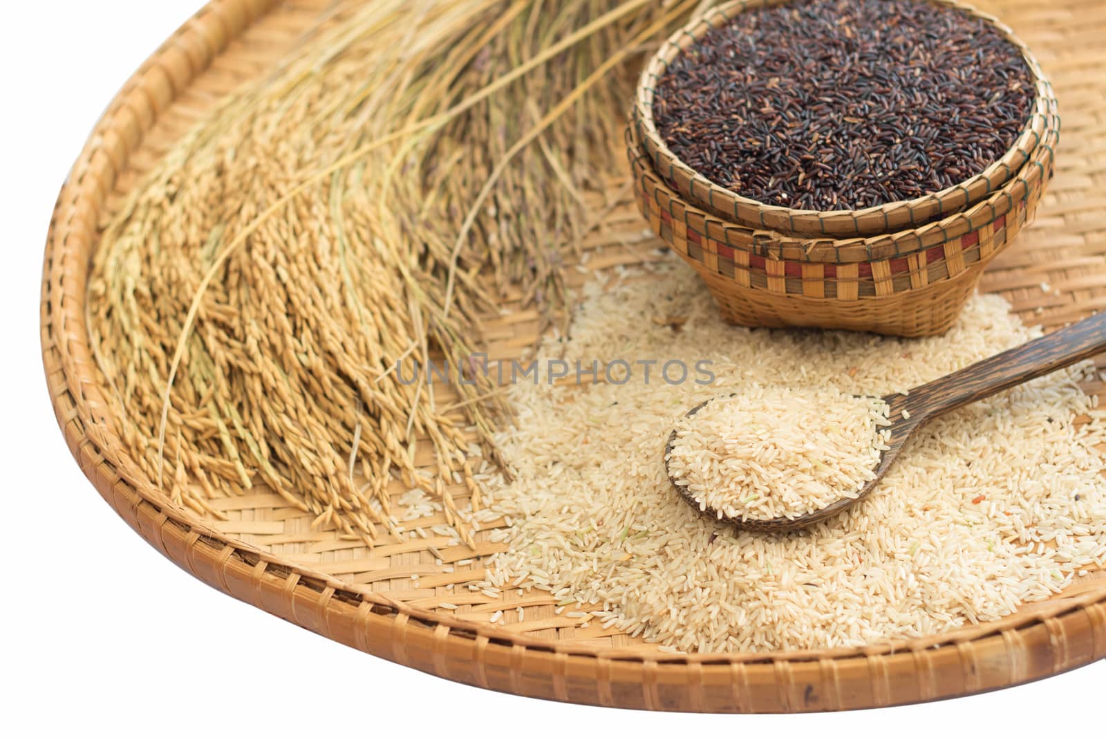 brown rice  and paddy rice on bamboo background