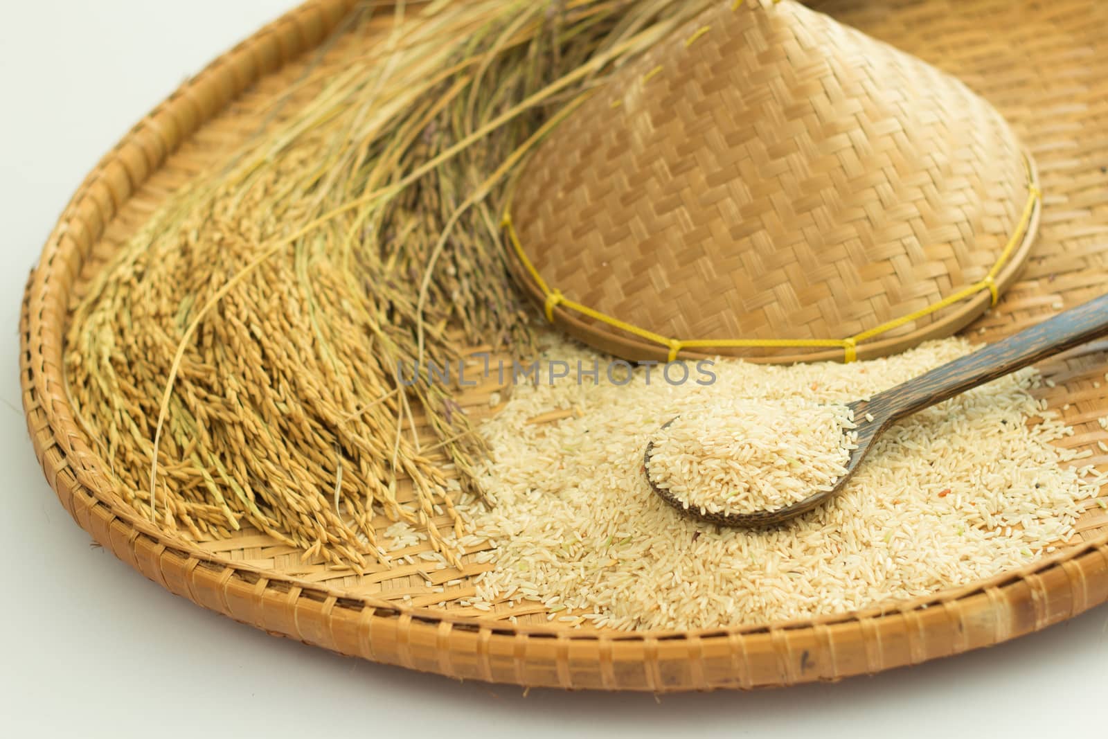 brown rice  and paddy rice on bamboo background