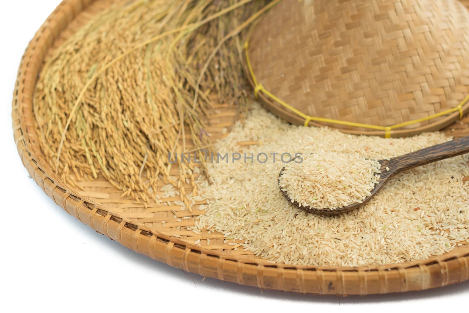 brown rice  and paddy rice on bamboo background