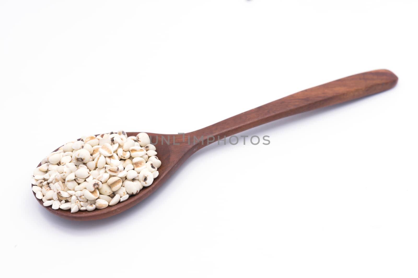 job's tears on wooden spoon , chinese pearl barley , on white background