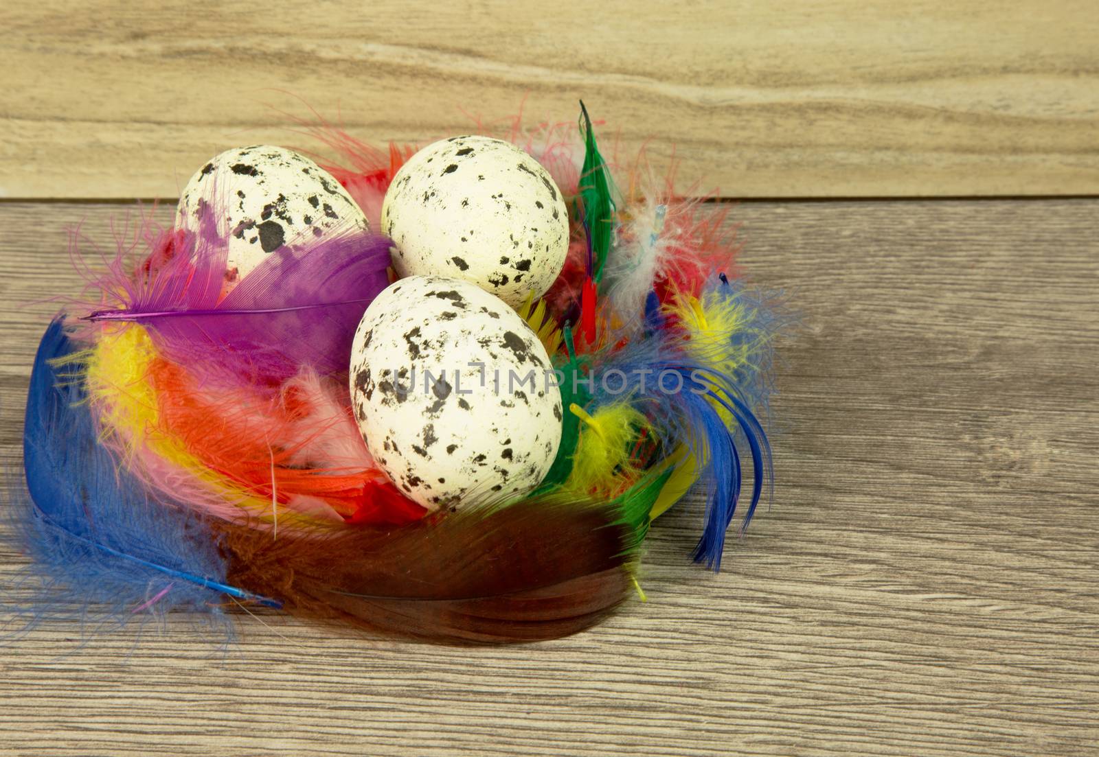Easter decoration,three big,speckled eggs in a nest with colorful feathers on old wooden countertop.Horizontal view.
