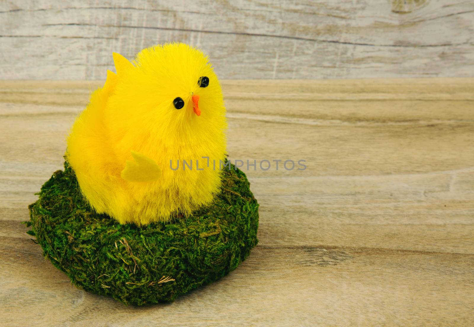 Easter figurines, yellow chicken in a nest with green moss on the background of the old wooden tabletop. Horizontal view.