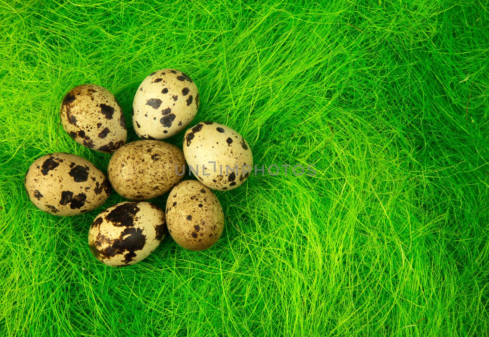 Quail eggs on the green grass , easter decoration by kuba61