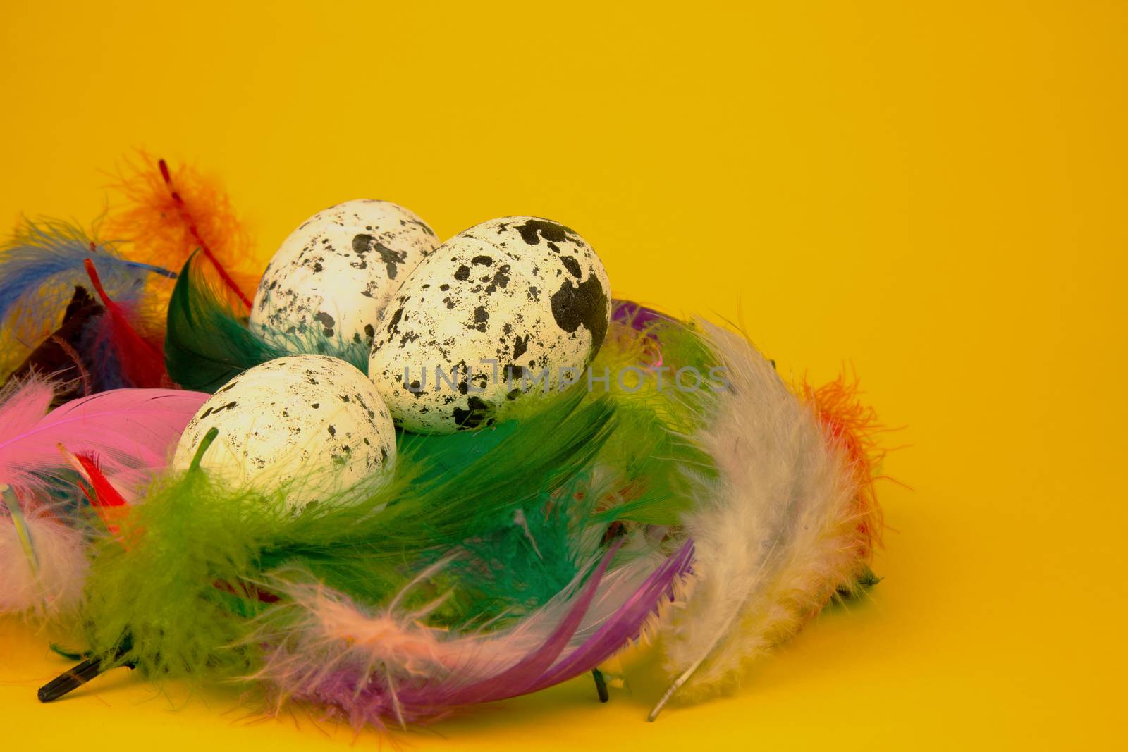 Easter eggs in a colorful nest on isolated yellow by kuba61