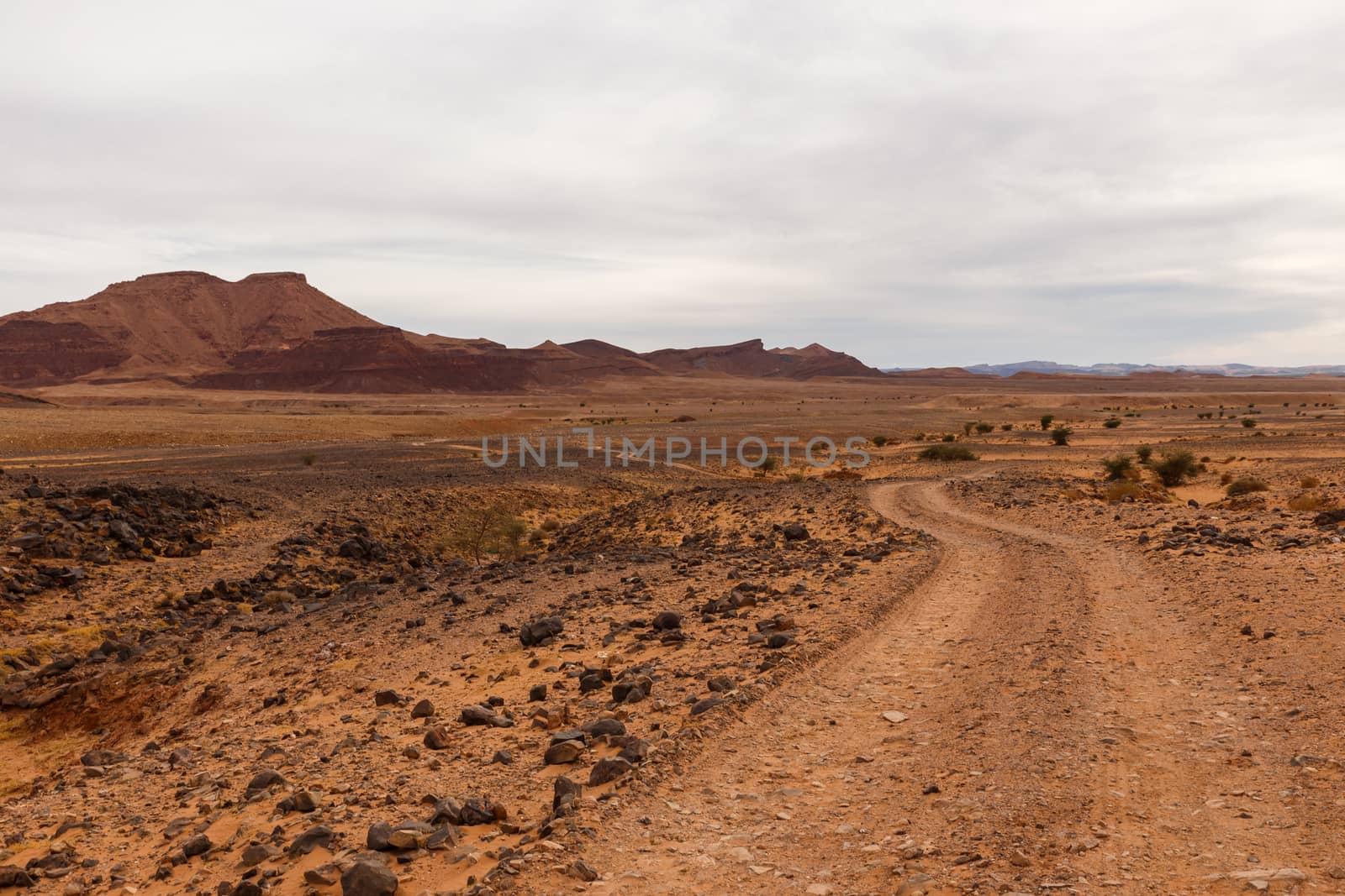 road in the desert Sahara by Mieszko9