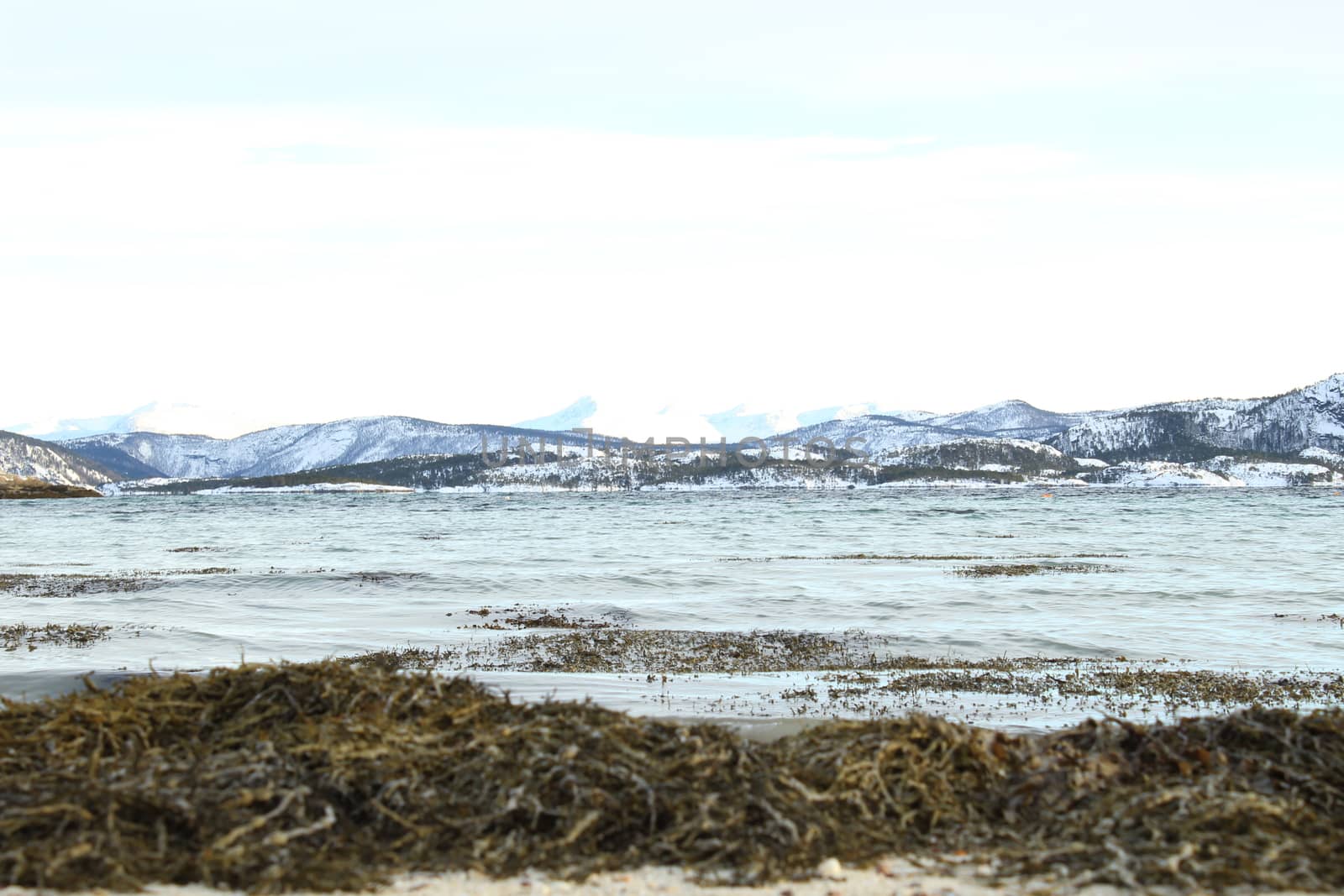 Nature, Sea & Ocean, Water, beach, foreshore