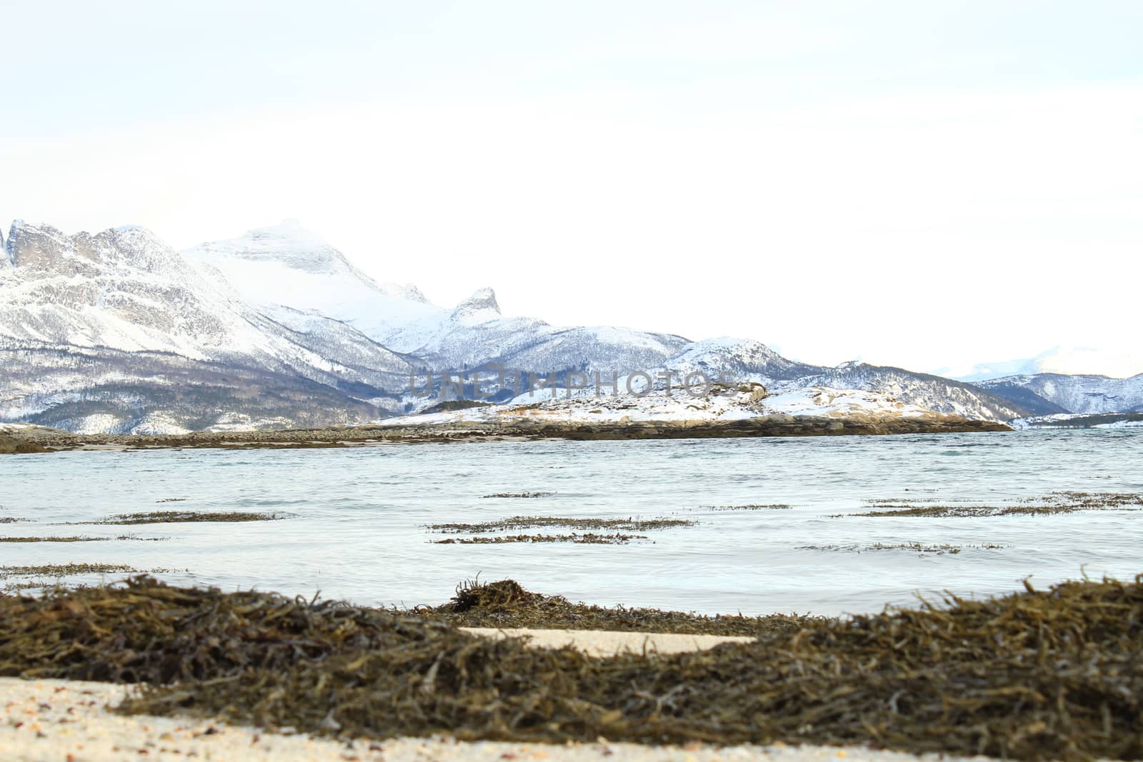 Nature, Sea & Ocean, Water, beach, foreshore