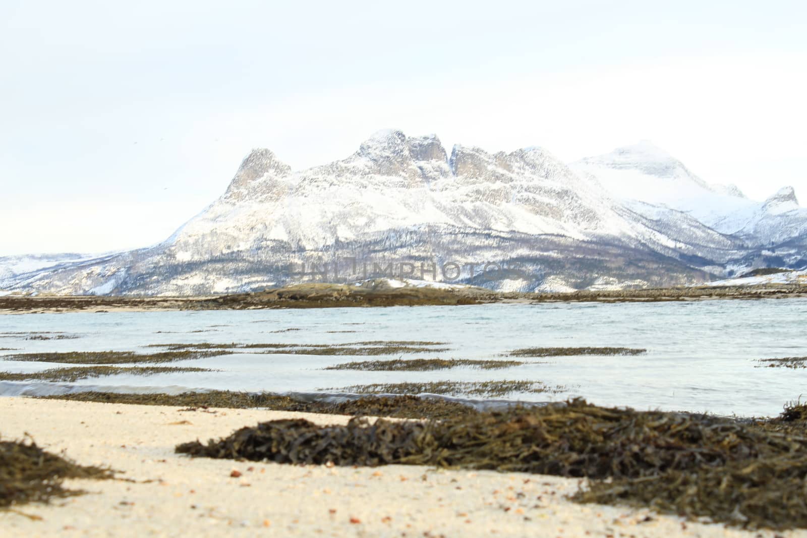 Nature, Sea & Ocean, Water, beach, foreshore