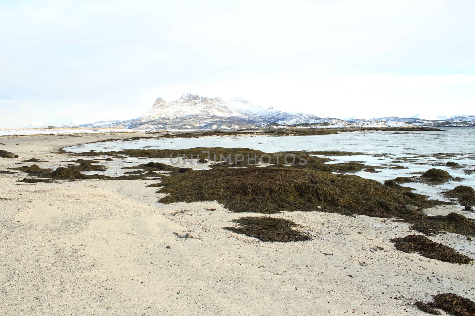 Nature, Sea & Ocean, Water, beach, foreshore