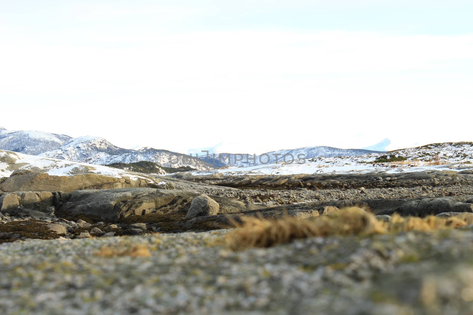 Nature, Sea & Ocean, Water, beach, foreshore